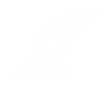 Wildtyper